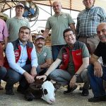 buzagina-sahip-cik-projesiyle-ekonomiye-21-milyon-kazanc.jpg
