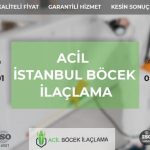Tahta Kurusu İlaçlama
