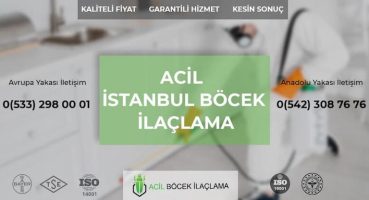Tahta Kurusu İlaçlama