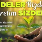 nevsehir-belediyesi-tarafindan-vatandaslara-cesitli-turde-50-bin-sebze-fidesi-ucretsiz-olarak-dagitilacak.jpg
