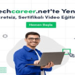 Yazılım ve Tasarımda Element Nedir? Temel Tanımlar ve Kullanım Alanları