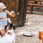 Ballıca Gayrimenkul