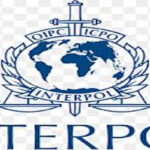 İnterpol Araması ve Kırmızı Bülten Kaldırma