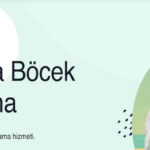 Ankara’da Sağlıklı Yaşam İçin Böceklerden Kurtulun: İlaçlama Hizmetlerinin Önemi
