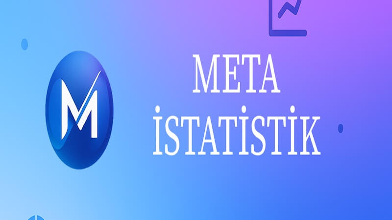 Meta İstatistik: SPSS Yardımı’nın Ardından Yeni Bir Adım
